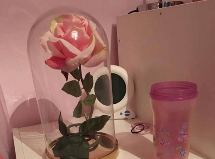 Estremecedor: los detalles en esta foto que esconden la trágica muerte de una nena de 4 años | Curiosidades