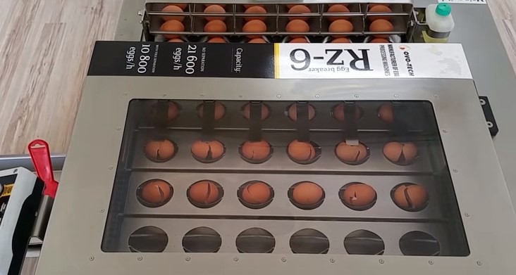 La máquina que puede romper 19.200 huevos por hora | Curiosidades