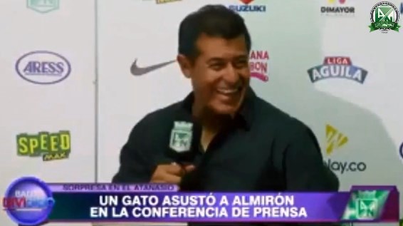 Video viral: mirá el animal que interrumpió la conferencia de Almirón en Colombia | Deportes