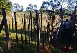 Denunció a su vecino por tener sexo con su vaca: lo filmó y llevó la prueba a la Justicia | Curiosidades