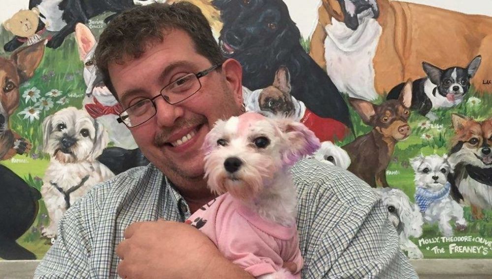 Una perrita suifre graves heridas después de que sus dueños le tiñeran el pelo | Curiosidades