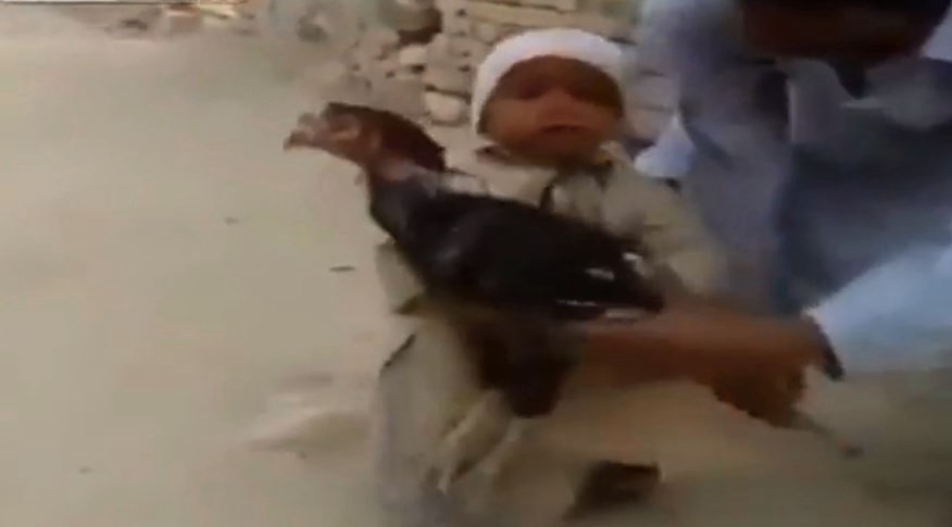 El pequeño nene que evitó que su padre sacrificara un pavo | Curiosidades