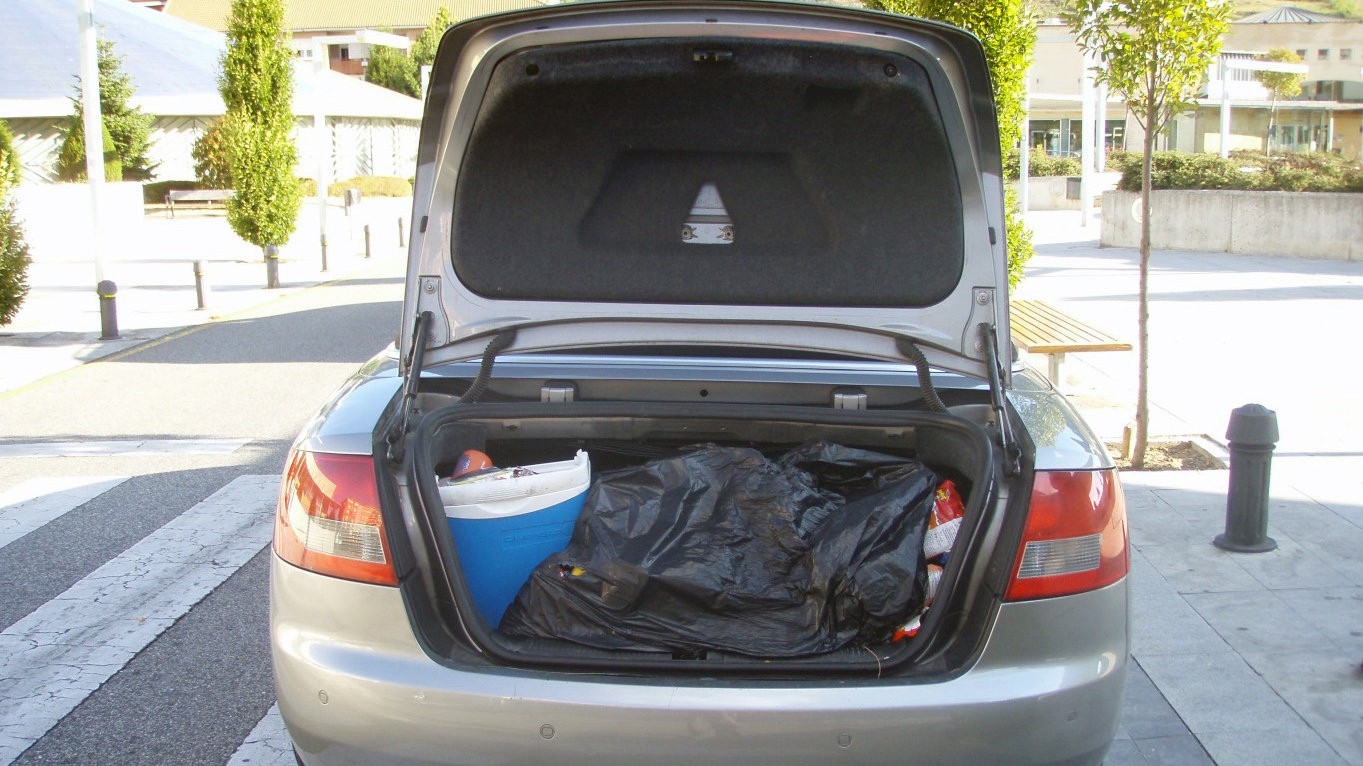 En un control de tránsito descubrieron que llevaba un oso en el baúl | Curiosidades