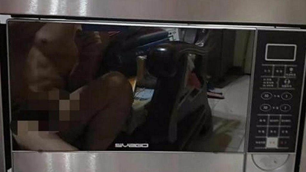 Intenta vender su microondas y aparece desnudo en la foto del anuncio | Curiosidades
