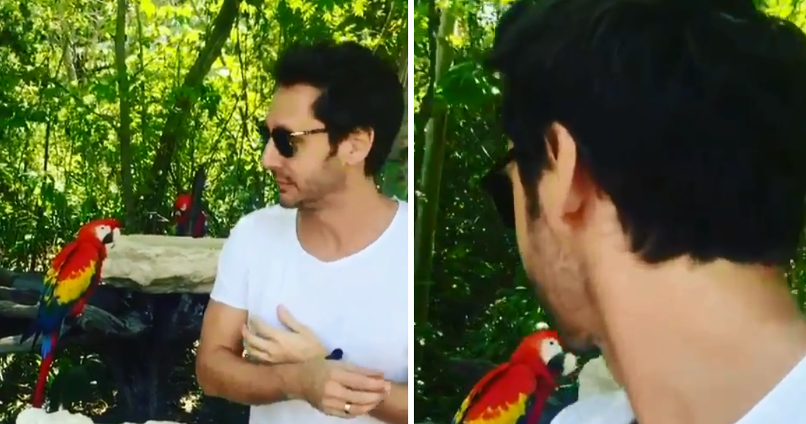 El divertido video de Benjamín Vicuña intentando sacarse una foto con un pájaro que terminó MUY MAL | Espectáculos