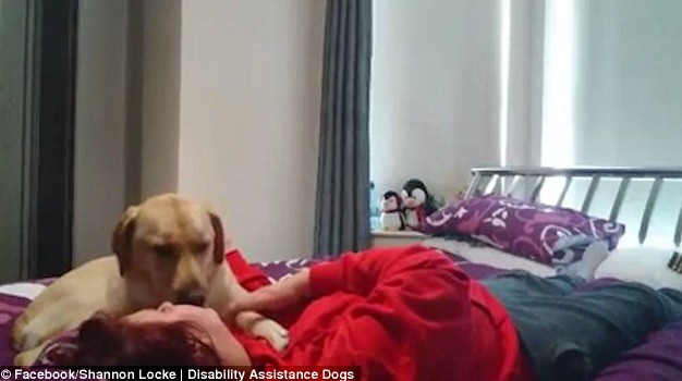 Mujer muestra cómo el perro la salva en un ataque de epilepsia | Internacionales