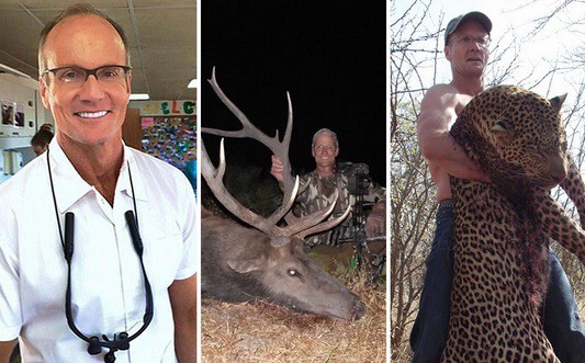 El dentista que mató al león Cecil dice que no está arrepentido | Internacionales