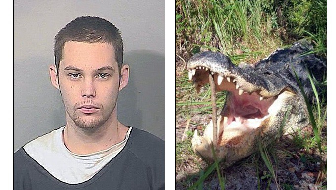 Se metió en un lago para huir de la policía y se lo comió un caimán | Internacionales