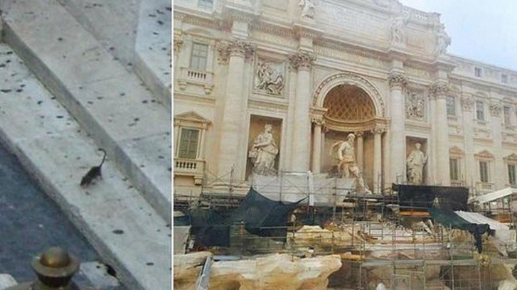 Roma aprueba un plan contra una plaga de ratas y multará por abandonar comida en la calle | Internacionales