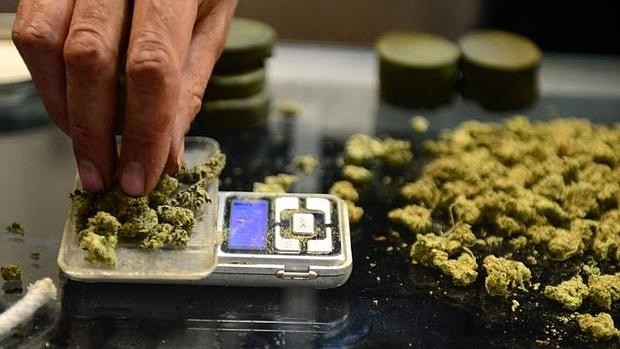 Alemania permitirá la venta de cannabis con receta a partir de 2017 | Internacionales