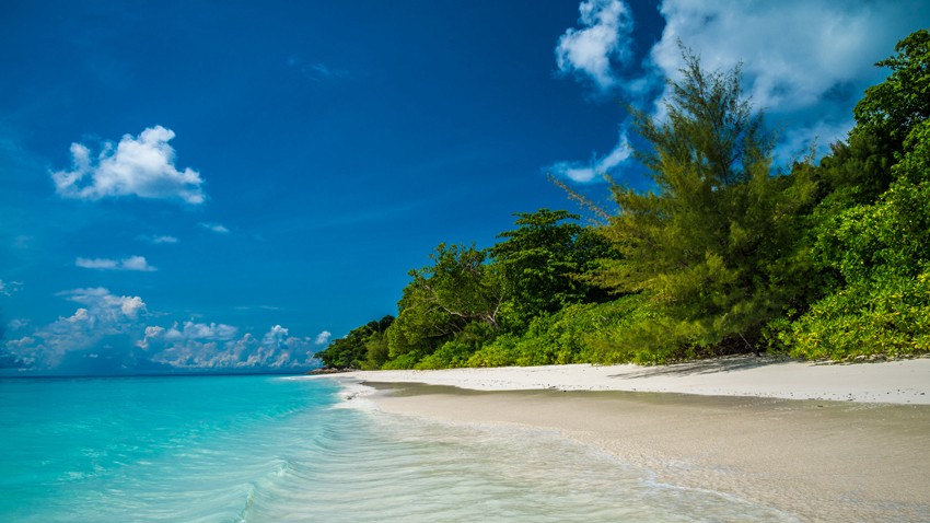 La paradisíaca isla de Koh Tachai cerrará a los turistas por los daños ambientales que le causaron | Internacionales