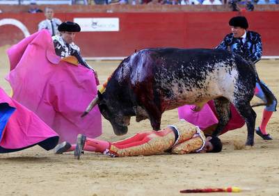 Un toro corneó y mató a un torero en España | Internacionales