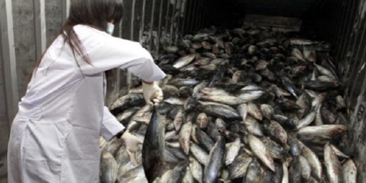 China: los detienen por vender mariscos radiactivos procedentes de Fukushima | Internacionales