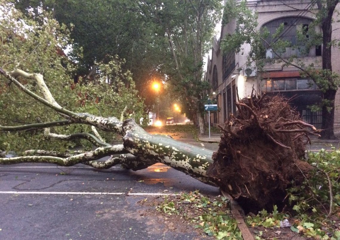 Unas 23.000 personas sin luz, evacuados y destrozos en Montevideo por el temporal | Internacionales