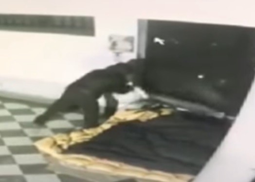 Horror en italia: quemaron vivo a un sin techo | Internacionales