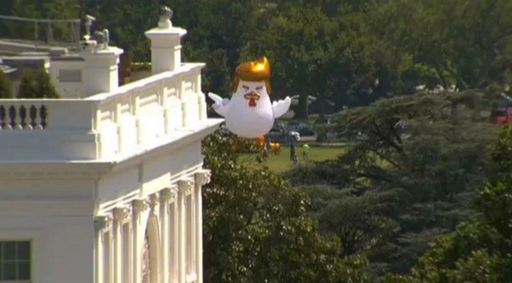 Pollo inflable gigante idéntico a Donald Trump aparece flotando frente a la Casa Blanca | Internacionales