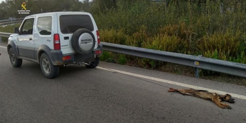 Ató a su cachorro a un jeep y lo mató tras arrastrarlo durante varios kilómetros | Internacionales