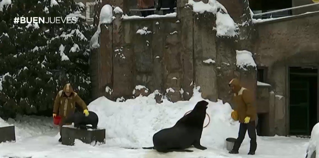 Un zoológico cubierto de nieve | Internacionales