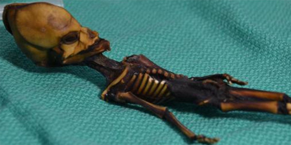 Se resolvió el misterio de "Ata", el falso extraterrestre encontrado en el desierto de Atacama | Internacionales