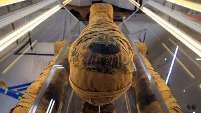 Hallaron una momia en un ataúd que pensaban que estaba vacío | Internacionales