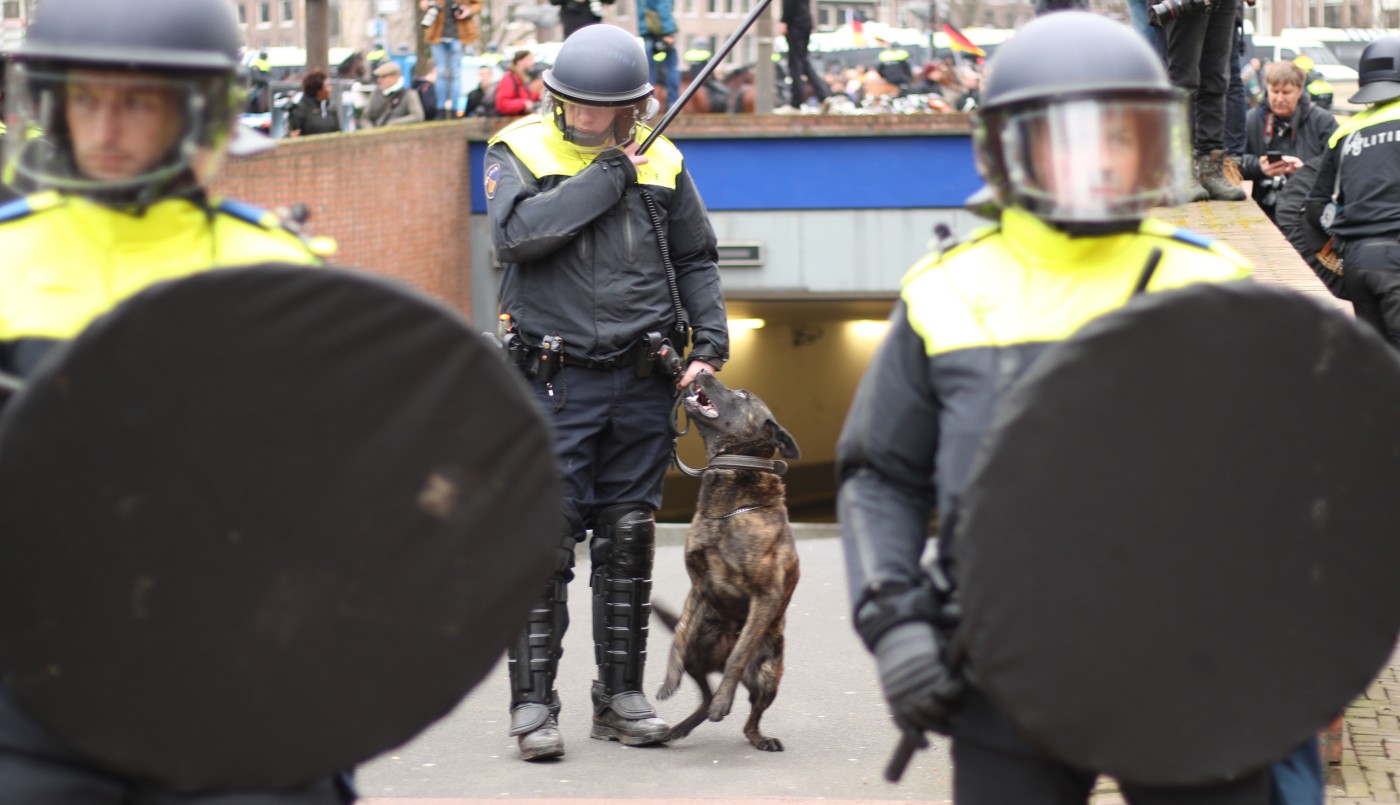 Perros entrenados contra los violadores | Internacionales