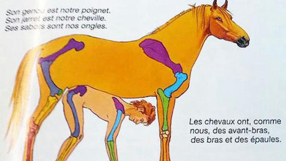 La ilustración didáctica de un libro infantil que censuró Facebook | Redes