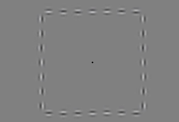 Eligen la mejor ilusión óptica del 2016 | Redes