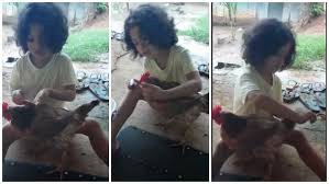 Video viral: la nena que peina y le habla a una gallina | Redes