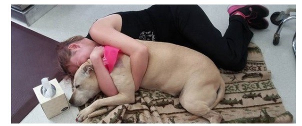 #EsViral Así fue la emocionante despedida de la perrita Hannah | Redes