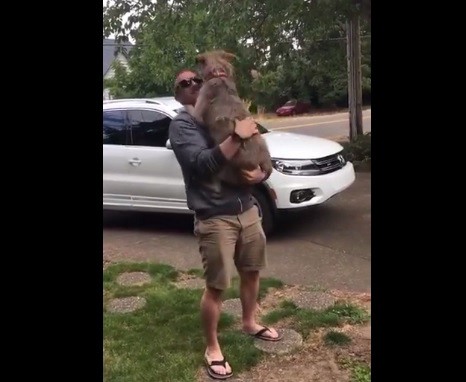 #AmorViral Cuando tu perro se pone así de feliz al verte, arrasa en Facebook | Redes