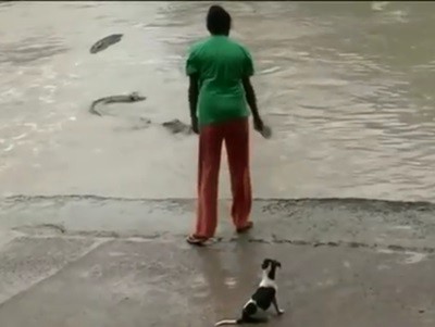 #EsViral Armada solo con sus ojotas, contra un cocodrilo de 4 metros | Redes