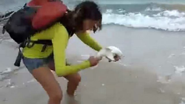 #ElViralQueNosIndigna Ésto le pasó a una turista que quería sacarse una foto con un pequeño tiburón | Redes