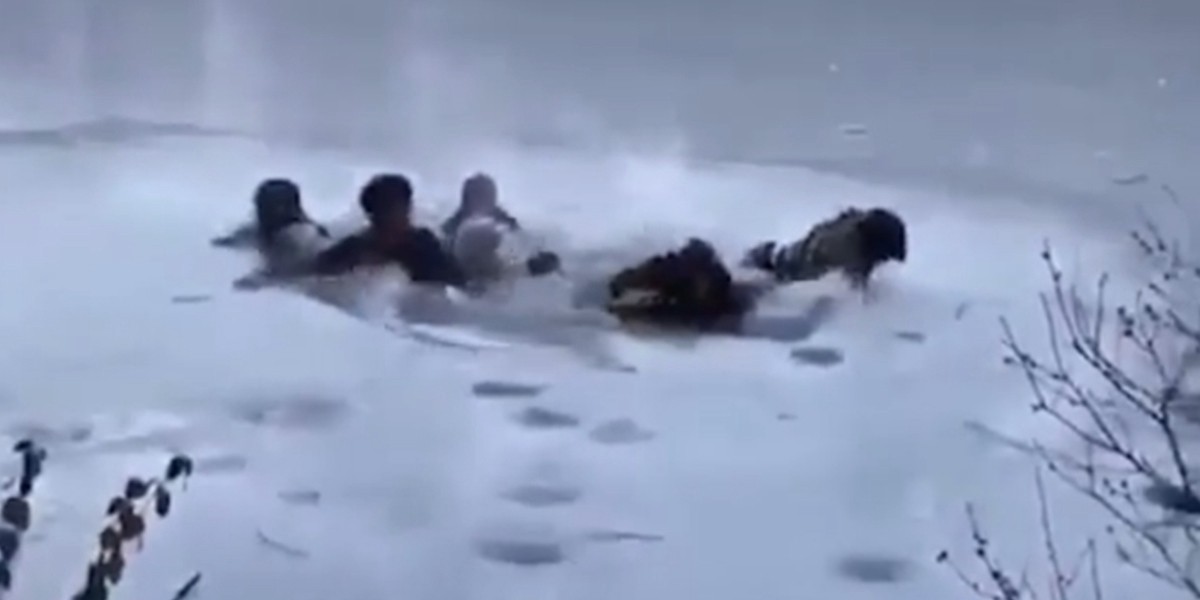 Se quisieron sacar una selfie y casi mueren congelados en el lago del Central Park | Redes