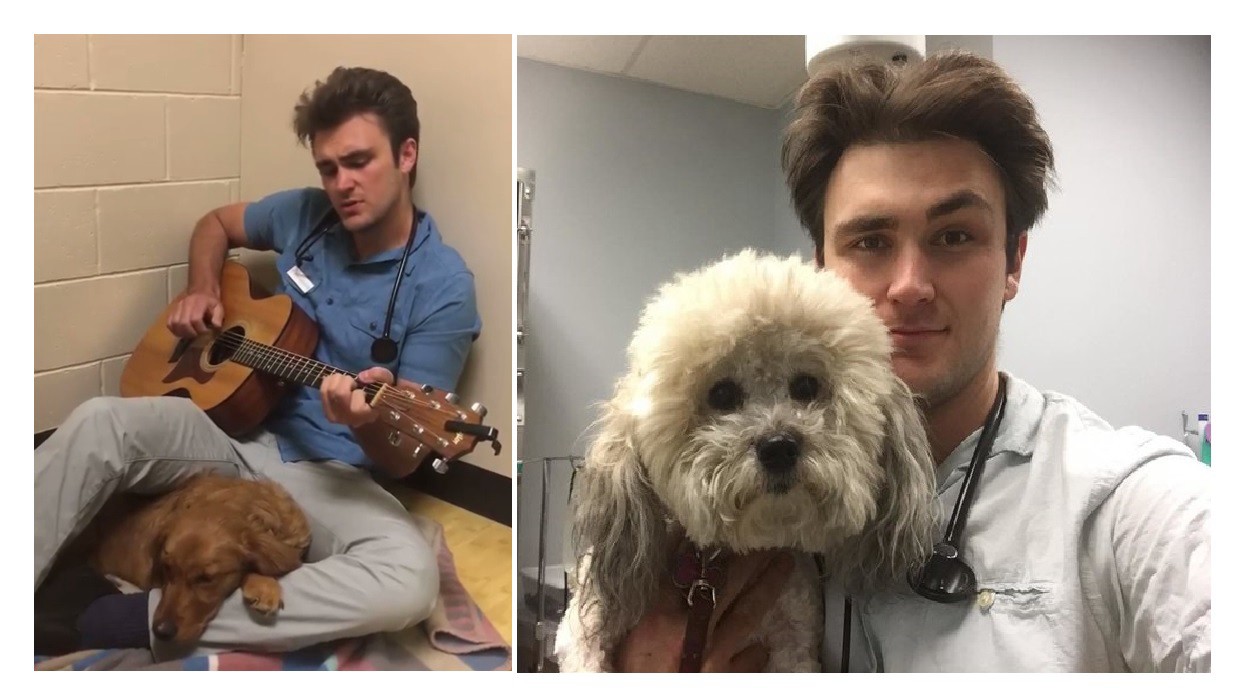 Video: veterinario le canta a una perra para que se calme antes de operarla | Redes