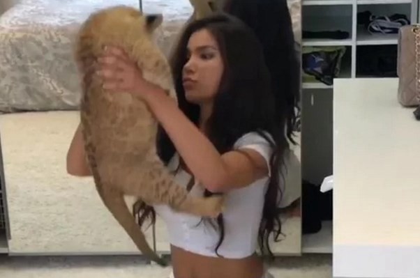 Una modelo rusa intentó recrear una escena de "El rey león" y se llevó una sorpresa | Redes