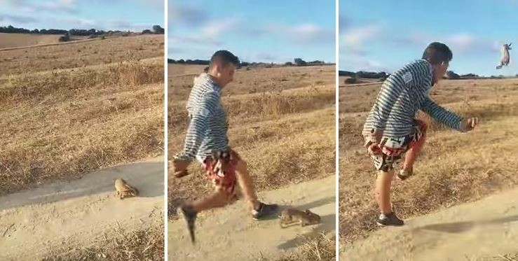 La policía española pide ayuda en las redes sociales para atrapar al hombre que pateó un conejo al grito de "Cristiano Ronaldo" | Redes