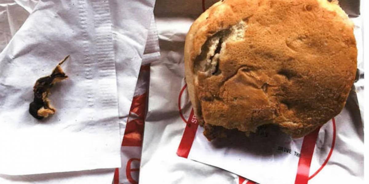 Pidió una hamburguesa, la mordió y se llevó una sorpresa desagradable | Redes