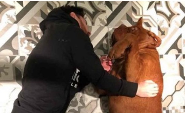 Furor en Instagram por las fotos de Leo Messi y su enorme perro Hulk | Redes