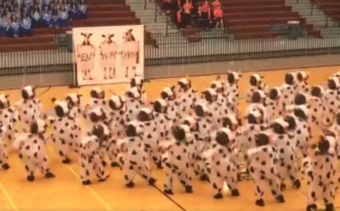 Baile ultra viral: los nenes disfrazados de vacas que son furor en Facebook | Redes