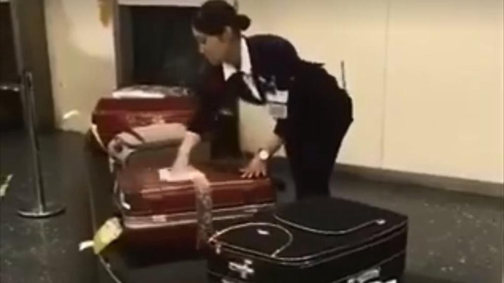 Video viral: la sorprendente manera en la que tratan a las valijas en un aeropuerto de Japón | Redes