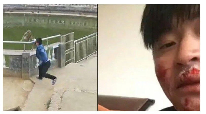 Para hacerse el gracioso, empujó a un mono y recibió una paliza | Redes