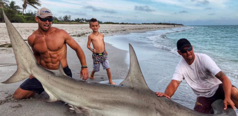 La foto del enorme tiburón martillo que se volvió viral por otra razón | Redes