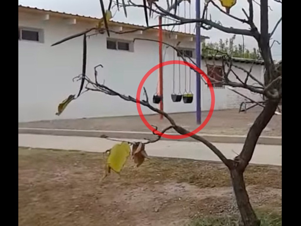 Misterio en Mendoza por la plaza en la que juegan los "nenes fantasmas" | Redes