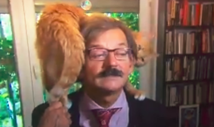 Video: un gato arruinó una entrevista en vivo y se volvió un fenómeno viral | Redes