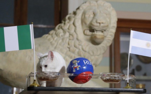 El gato Aquiles se equivocó, Argentina también venció al oráculo ruso | Rusia 2018