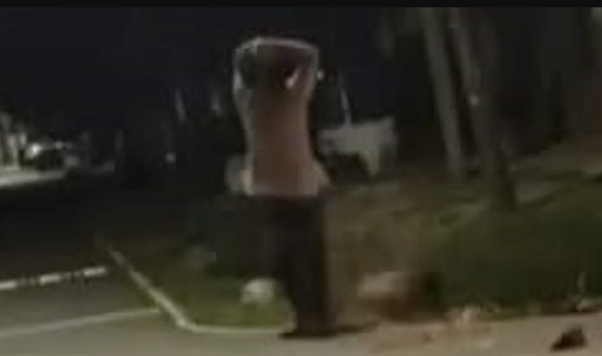 Un joven mató a su tío con un bate de béisbol en Del Viso | Actualidad