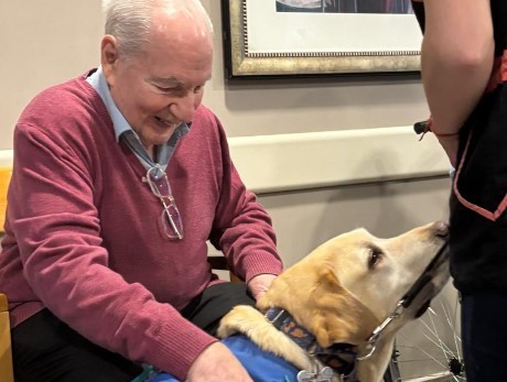 La caninoterapia gana cada día más adeptos en tratamientos gerontológicos | Actualidad