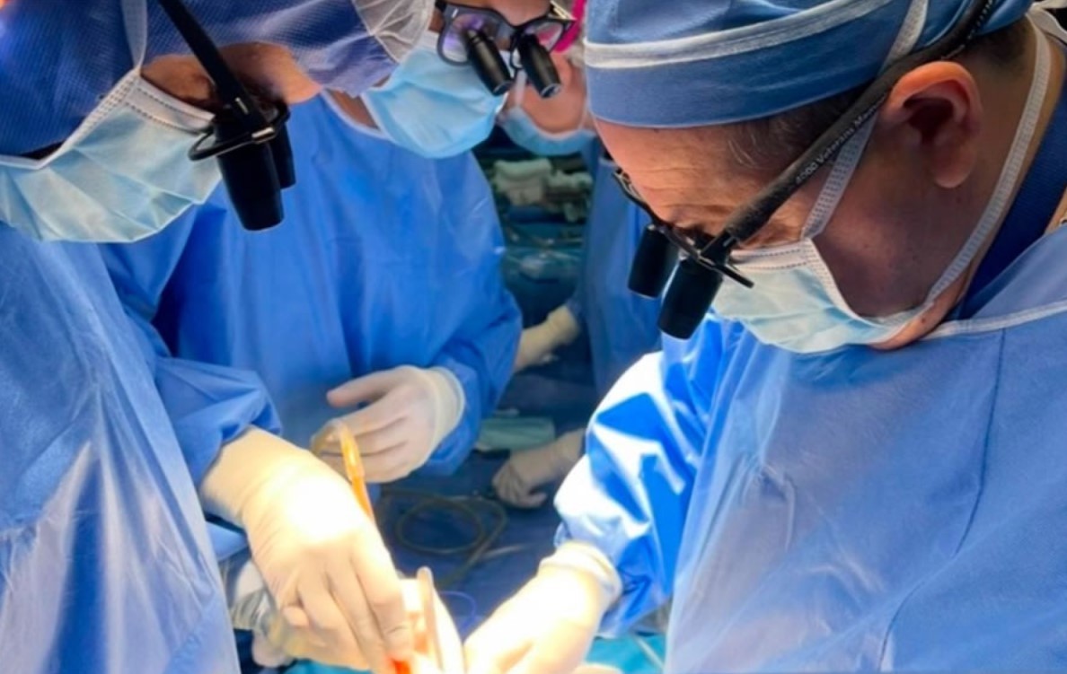 Día Mundial del Trasplante: más de 7.000 argentinos esperan un órgano | Actualidad