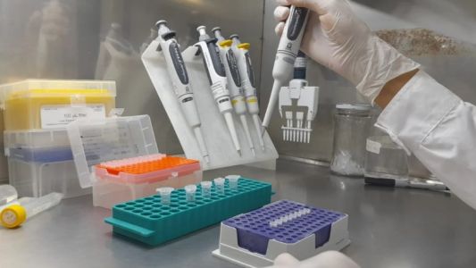 Brasil investiga a una científica argentina acusada de robar un virus en un laboratorio restringido