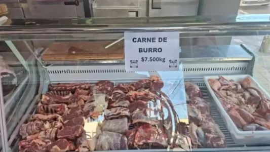 Polémica por la venta de carne de burro en Argentina: ¿es legal?